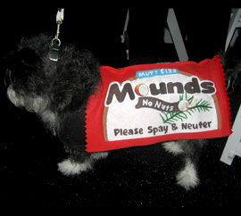 Mounds Bar Dog Costume