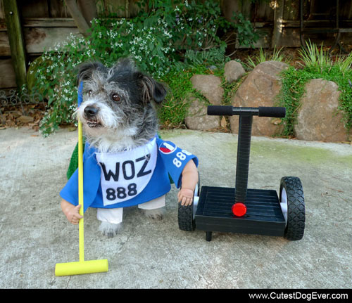 Dog Segway Polo Costume