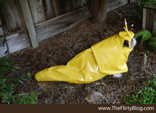 Slug Dog Costume