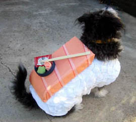 Sake Nigiri Sushi Dog Costume